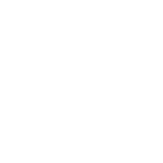 voice